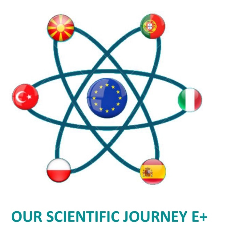 Our scientific journey