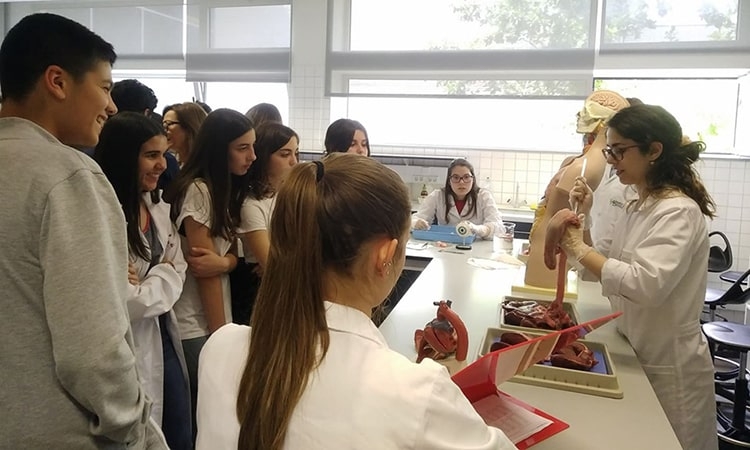 Laboratórios Abertos 2019