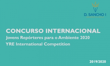 CONCURSO INTERNACIONAL YRE